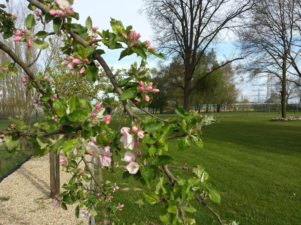 B&B Johannes-Hoeve Baarlo  Luaran gambar